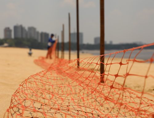 Ponta Negra é interditada para banho no rio Negro