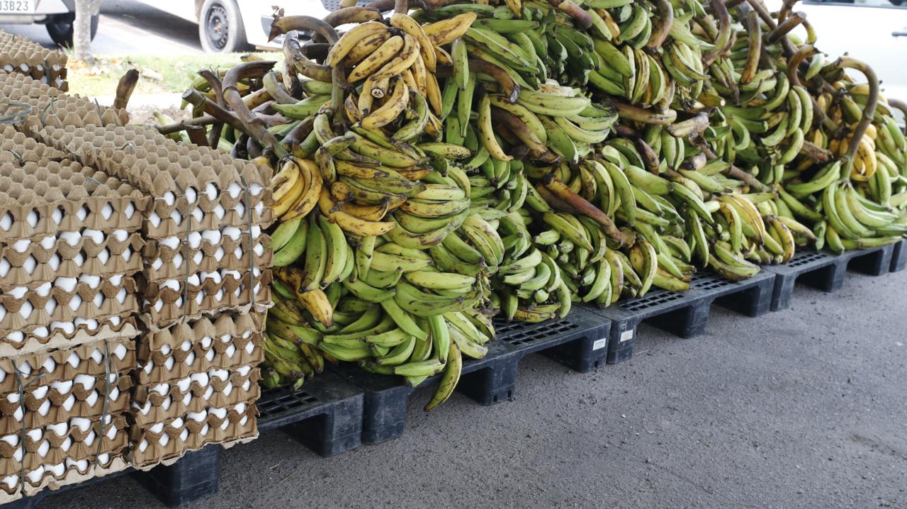 Programa de Aquisição de Alimentos adquiriu 15 toneladas de alimentos da agricultura indígena