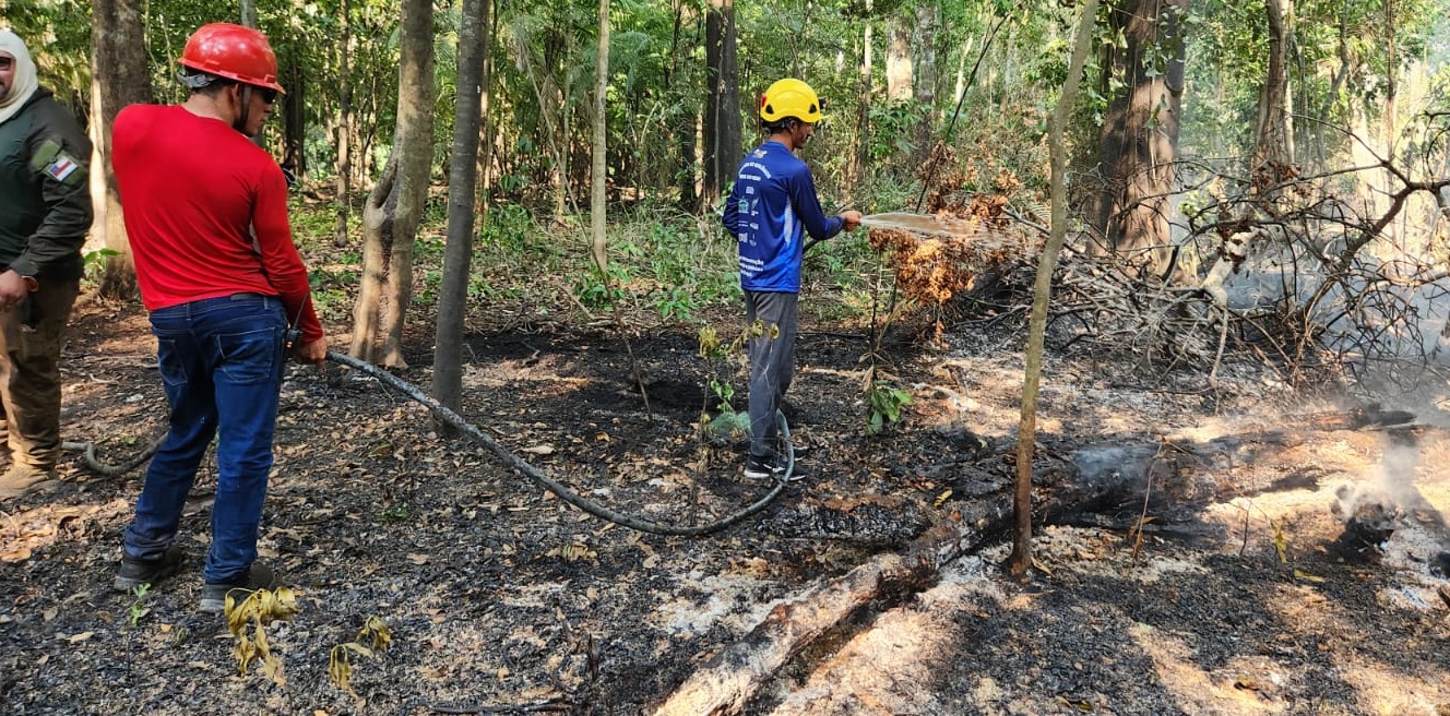 “A maioria dos focos é causada por pessoas que vêm para fazer a limpeza de terrenos e as chamas saem do controle, além de queima de madeira. Outra situação que tivemos conhecimento teria envolvido uma operadora de turismo. Segundo relatos, foi feita uma fogueira durante uma atividade turística, não foi apagada e o fogo se propagou. O maior prejuízo infelizmente fica para os moradores”