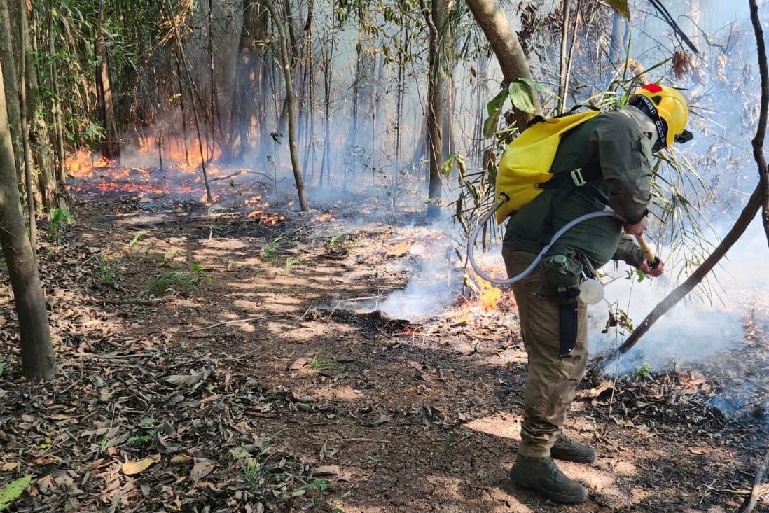 “A maioria dos focos é causada por pessoas que vêm para fazer a limpeza de terrenos e as chamas saem do controle, além de queima de madeira. Outra situação que tivemos conhecimento teria envolvido uma operadora de turismo. Segundo relatos, foi feita uma fogueira durante uma atividade turística, não foi apagada e o fogo se propagou. O maior prejuízo infelizmente fica para os moradores”