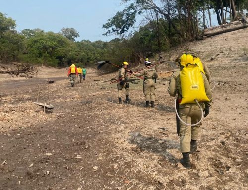 Unidades de Conservação do Baixo Rio Negro recebem ações de combate integrado a focos de incêndio