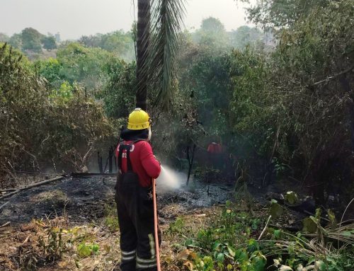 Em Manaus, Corpo de Bombeiros combateu mais de 30 incêndios no fim de semana