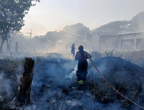 Em 24 horas, Corpo de Bombeiros combate 18 incêndios em áreas de vegetação em Manaus